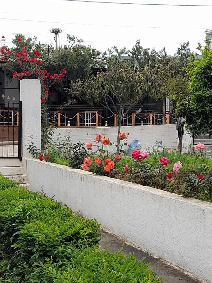 F&m Homestay *